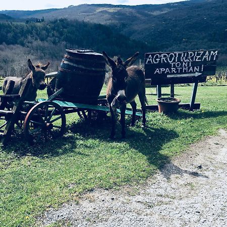 Agroturizam Toni Daire Motovun Dış mekan fotoğraf