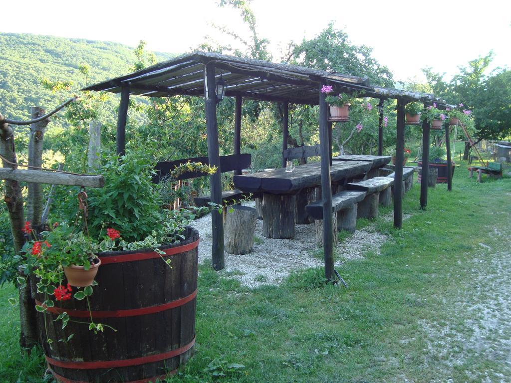 Agroturizam Toni Daire Motovun Oda fotoğraf