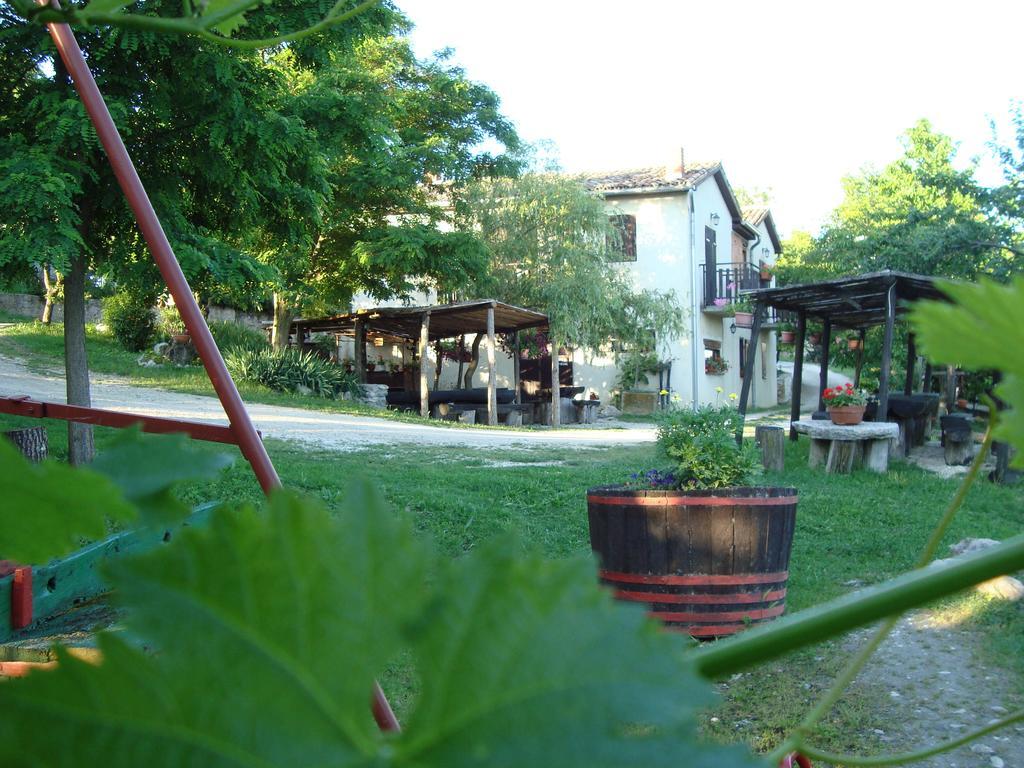 Agroturizam Toni Daire Motovun Oda fotoğraf